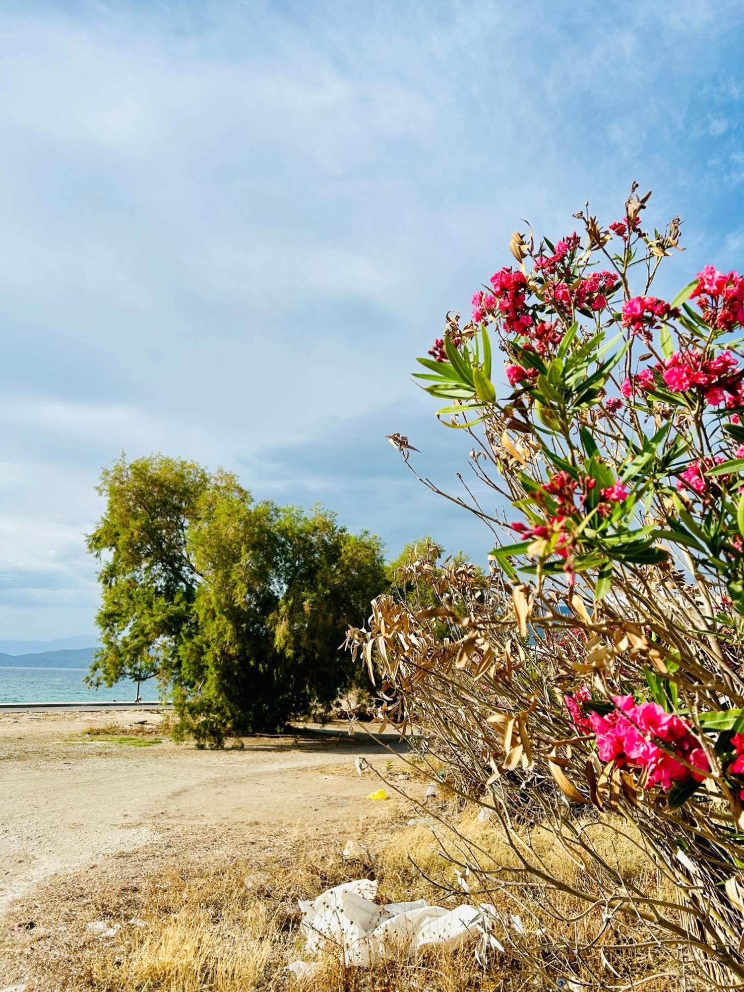 Marina'S Seacret Apartment Corinth Εξωτερικό φωτογραφία